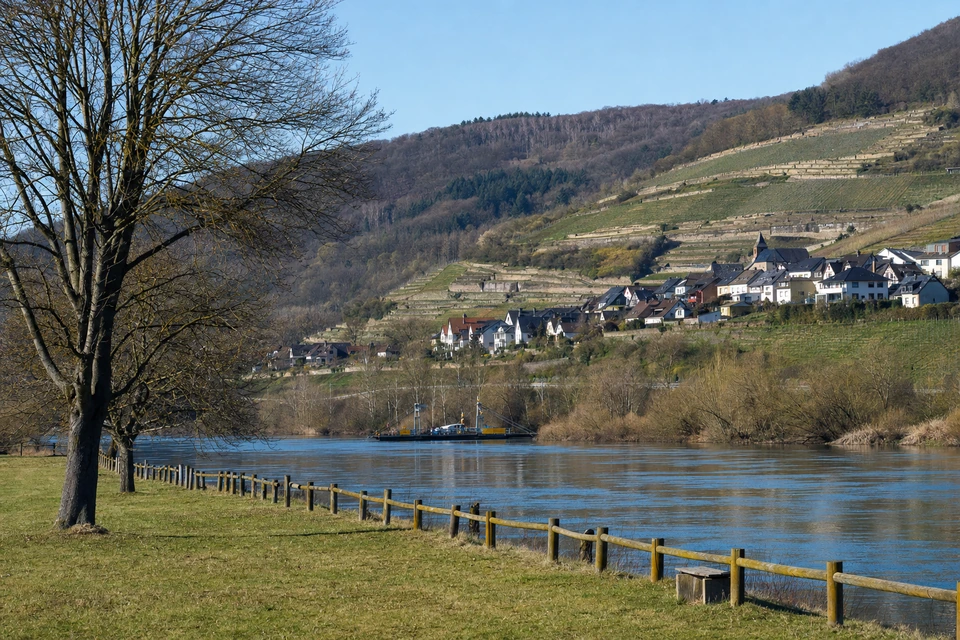 Stellplatzwiese am Fluss im Frühjahr mit noch kahlen Bäumen (mit AI erstelltes Bild)